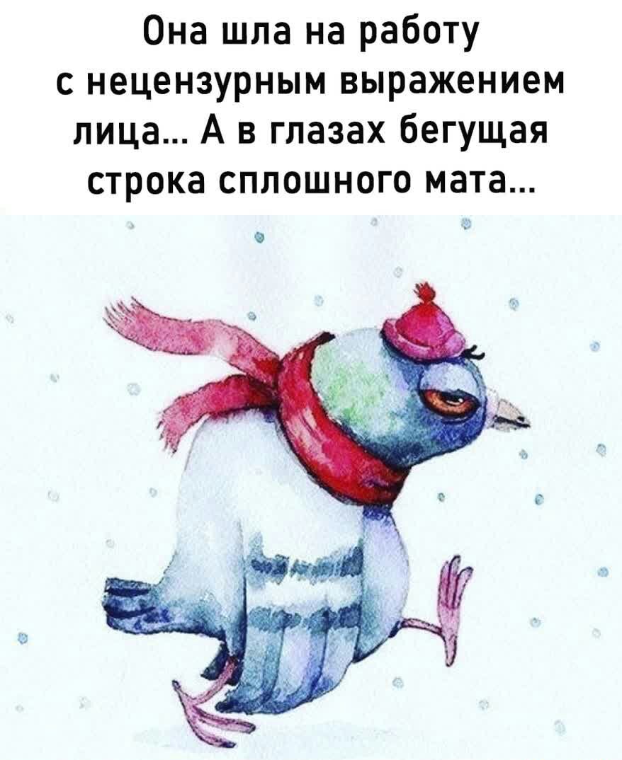 Она шла на работу с нецензурным выражением лица А в глазах бегущая строка сплошного мата