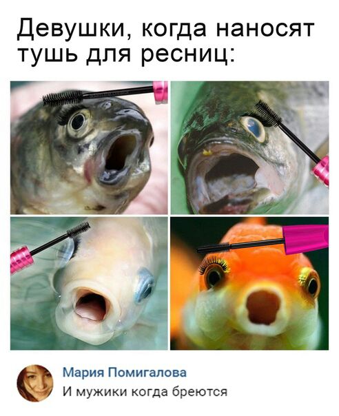 Девушки когда наносят тушь для ресниц Мария Помигапова 11 И мужики когда бреются