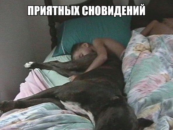 ПРИЯТНЬШ ЩЮВИДШИЙ