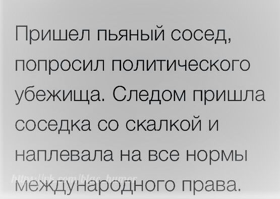 Пришел пьяный сосед попросил политического убежища Следом пришла соседка со скалкой и наплевала на все нормы еждународного права