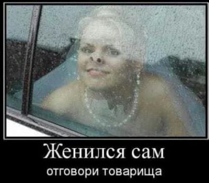 Женился сам отговори товарища