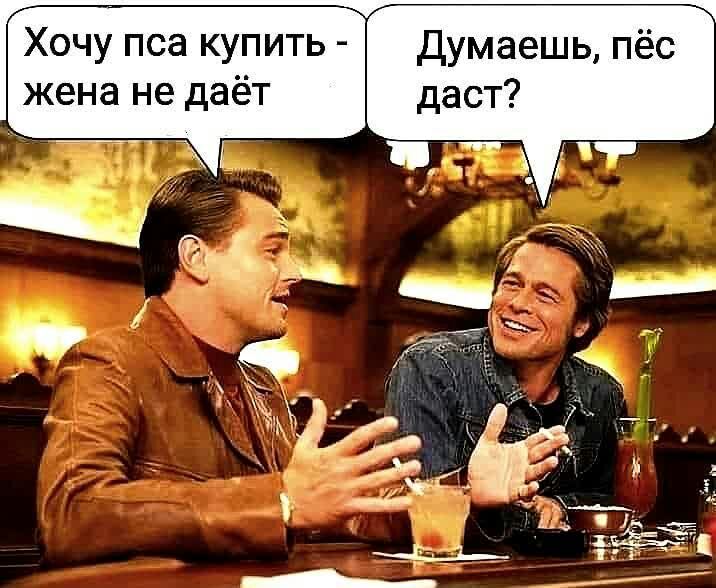 Хочу пса купить Думаешь пёс жена не даёт