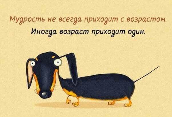 Мудрость не всегуа приходит С возрастом Иногуа возраст прихояит один