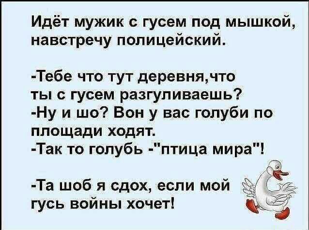 Идёт мужик с гусем под мышкой навстречу полицейский Тебе что тут деревнячто ты с гусем разгуливаешь Ну и шо Вон у вас голуби по площади ходят Так то голубь птица мира Та шоб я сдох если мой гусь войны хочет