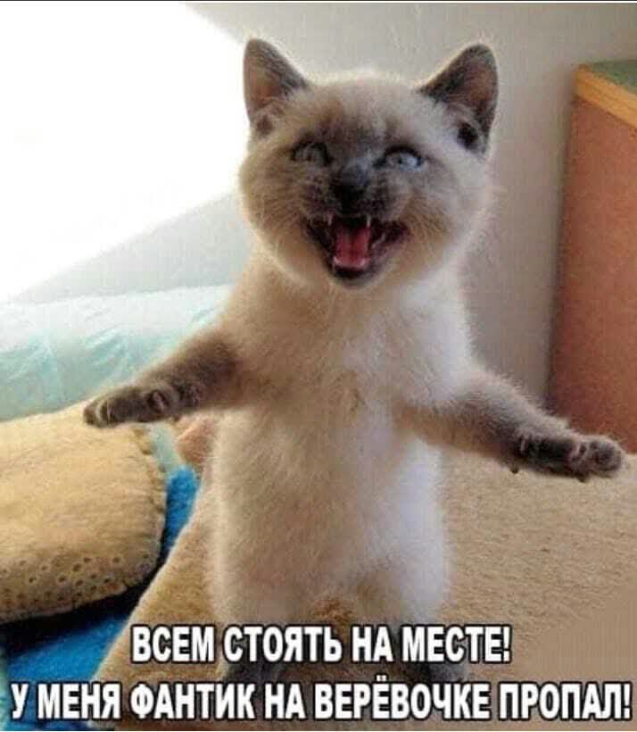 ВСЕМ СТОЯТЬ НА МЕСТЕ У МЕНЯ ФАНТИК НА ВЕРЁВОЧКЕ ПРОПАЛ