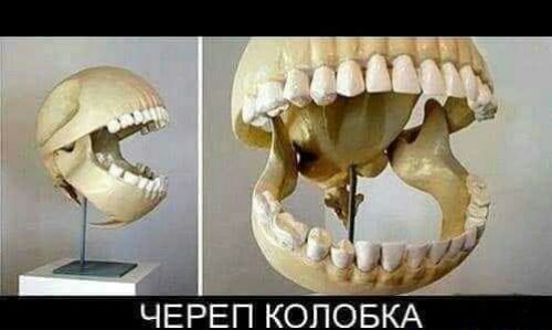 Г Ь ЧЕРЕП КОПОБКА