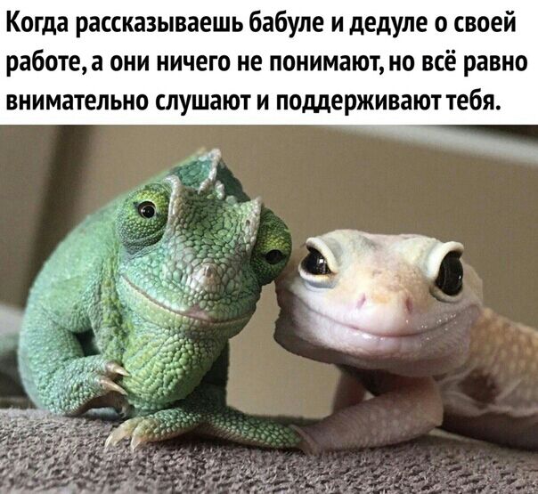 Когда рассказываешь бабуле и дедуле о своей работе а они ничего не понимают но всё равно внимательно слушают и поддерживают тебя