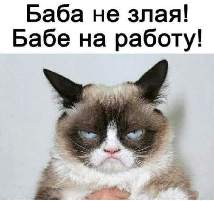 Баба не злая Бабе на работу