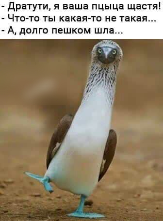 Дратути я ваша пцыца щастя ЧТО ТО ТЫ какая то НЕ такая А ДОЛГО пешком ШПЗ
