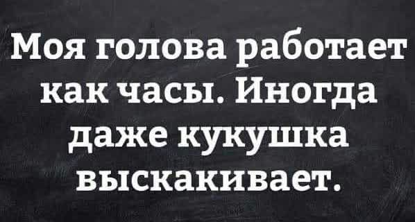 Моя голова работает как часы Иногда даже кукушка выскакивает