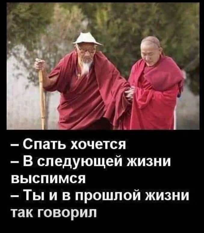 Спать хочется В следующей жизни выспимся Ты и в прошлой жизни так говорил