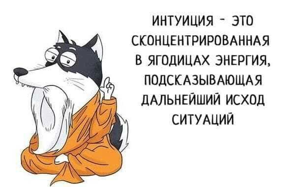 ИНТУИЦИЯ ЭТО СКОНЦЕНТРИРВВАННАЯ В ЯГОДИЦАХ ЭНЕРГИЯ ПОДСКАЗЫВАЮЩАЯ ДАЛЬНЕЙШИЙ ИСХОд СИТУАЦИЙ