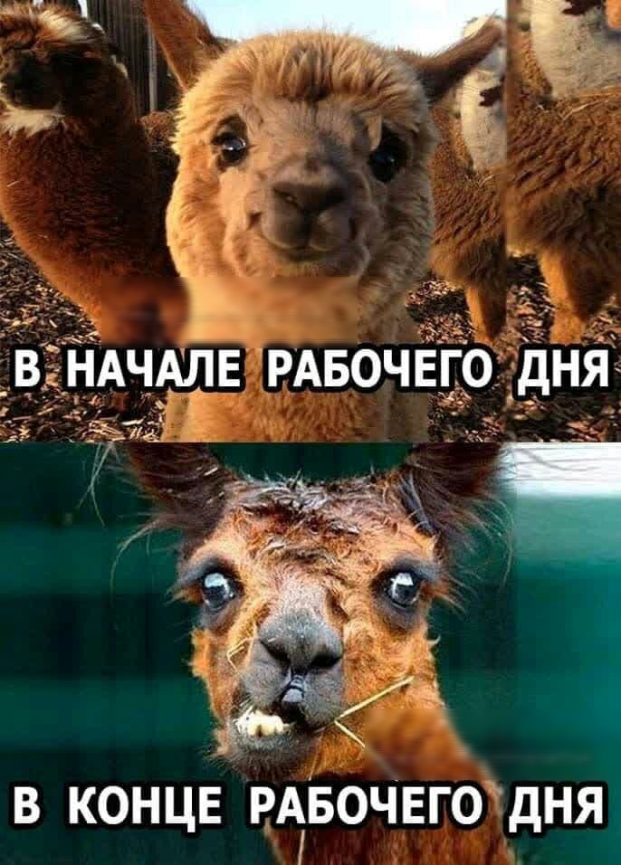 _ в концв вАі56чвготдня