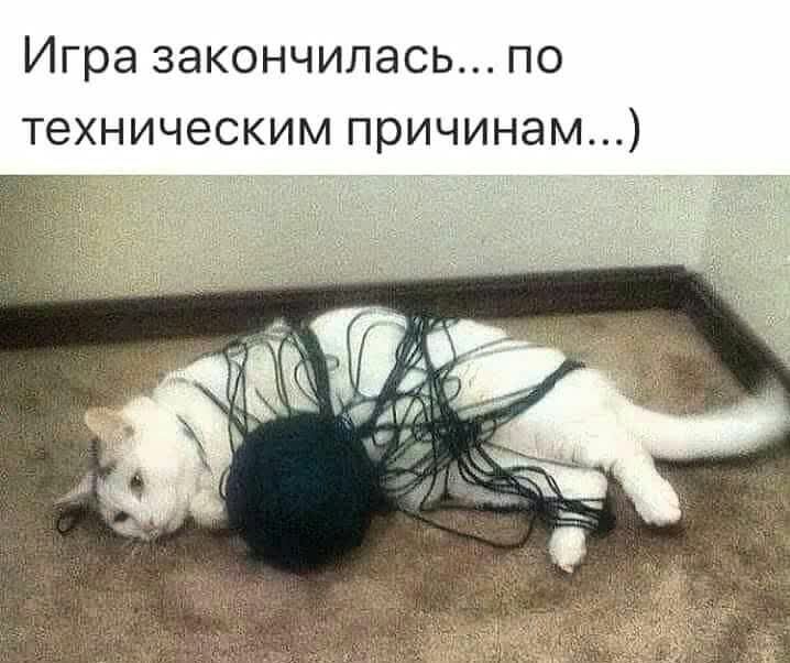 Игра закончилась по техническим причинам