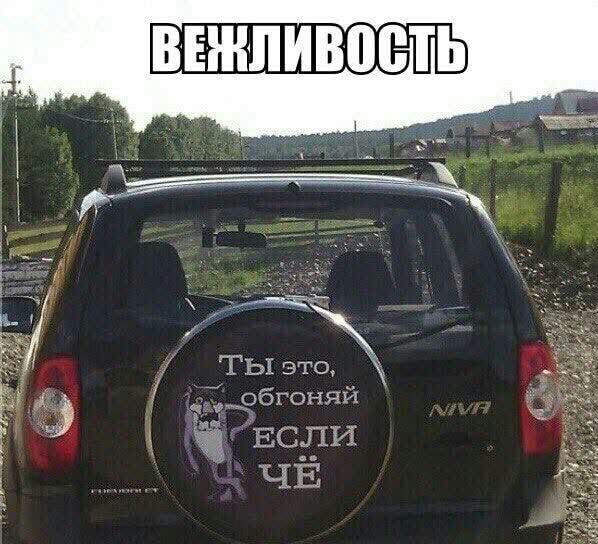 ВЕШЛИВПЁТЬ 3 П И