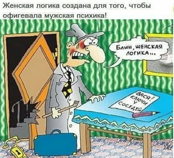 Женская логика создана для того чтобы оиигевала мужская психика Бдищшвисця логикя