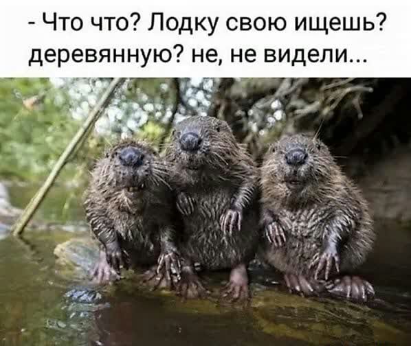 Что что Лодку свою ищешь деревянную не не видели _чг_