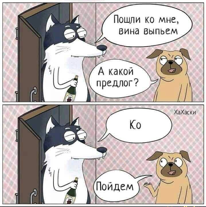 Пошли ко мне вина выпьем