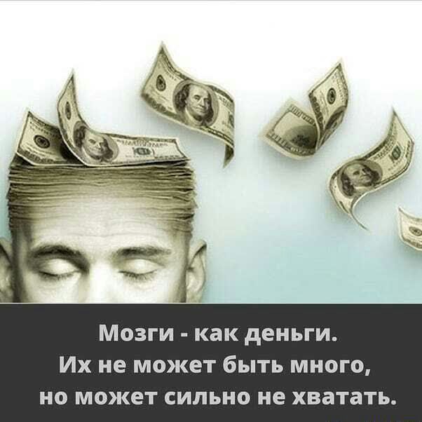 Мозги как деньги Их не может быть много но может сильно не хватать