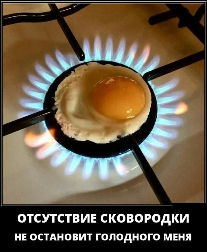 ОТСУТСТВИЕ СКОВОРОДКИ НЕ ОСТАНОВИТ ГОЛОДНОГО МЕНЯ