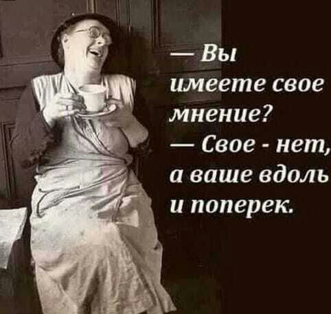 Вы имеете свое мнение Свое нет и ваше вдоль и поперек