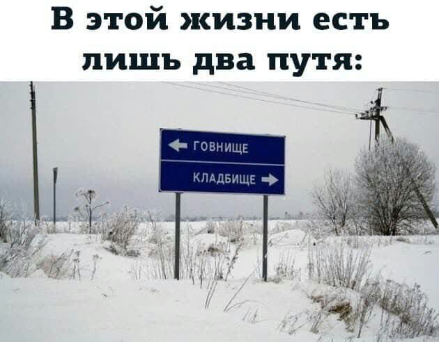 В этой жизни есть лишь два путя