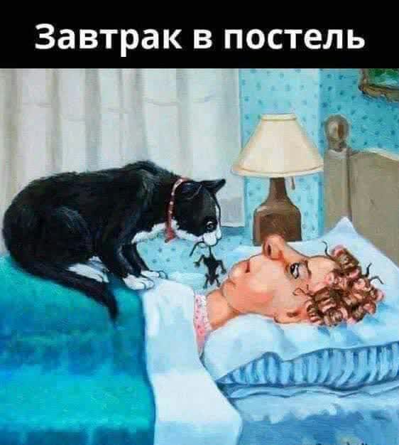 Завтрак в постель