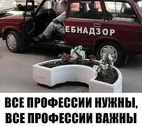 вен профісігим ншннЁп ве пгофюеии вджны