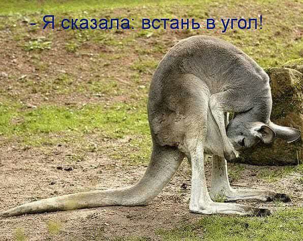 Ь В