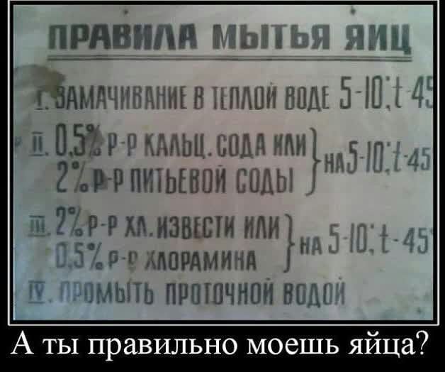 ПРНВРПН в ЧЁ гёдмдчнртпннш впиши 5 Ю В 1557 и дым нам мы 2 р рптывпи соды рнзышиипиъ т шпмминд мыть пипшчнин не А А ты правильно моешь яйца