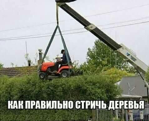 ШШ ПРАВИЛЬНП ВТРИЧЬ ЛЕРЕВЬП п