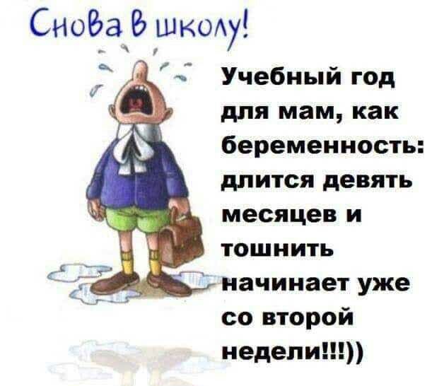 Сноёа шиеу Учебный год для мам как беременность длится девять месяцев и тошнить начинает уже со второй недели