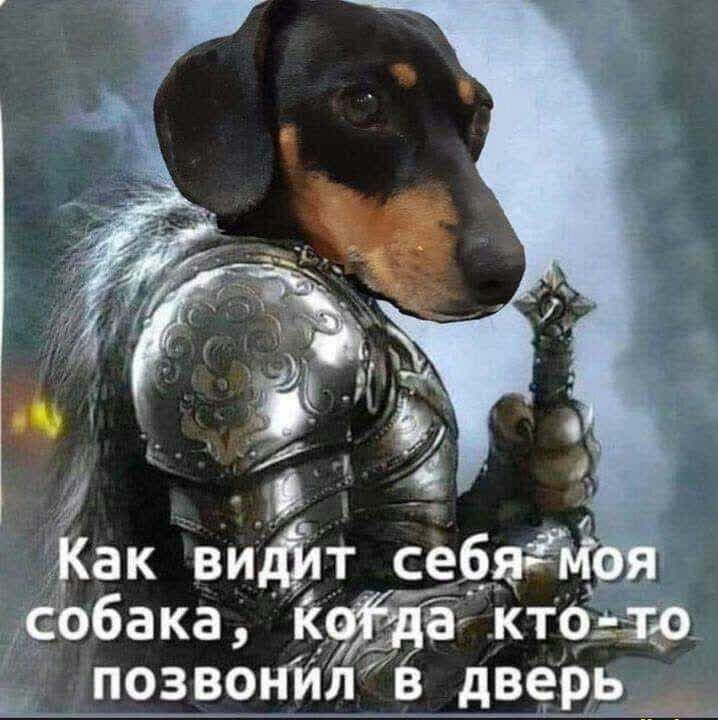 31 ак видн с _ 312 _ бака _ Акта Т_позвогГйЛі даем _