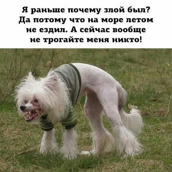 Я раньше почему пой был да потому что на море летом не ездил А сейчас вообще не трогайте меня никто