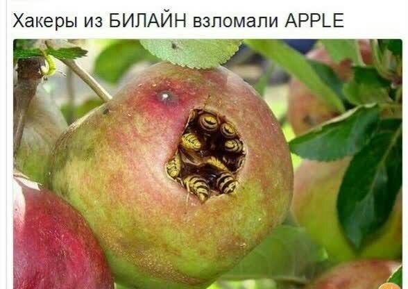 Хакеры из БИЛАЙН взпомапи АРР_Е