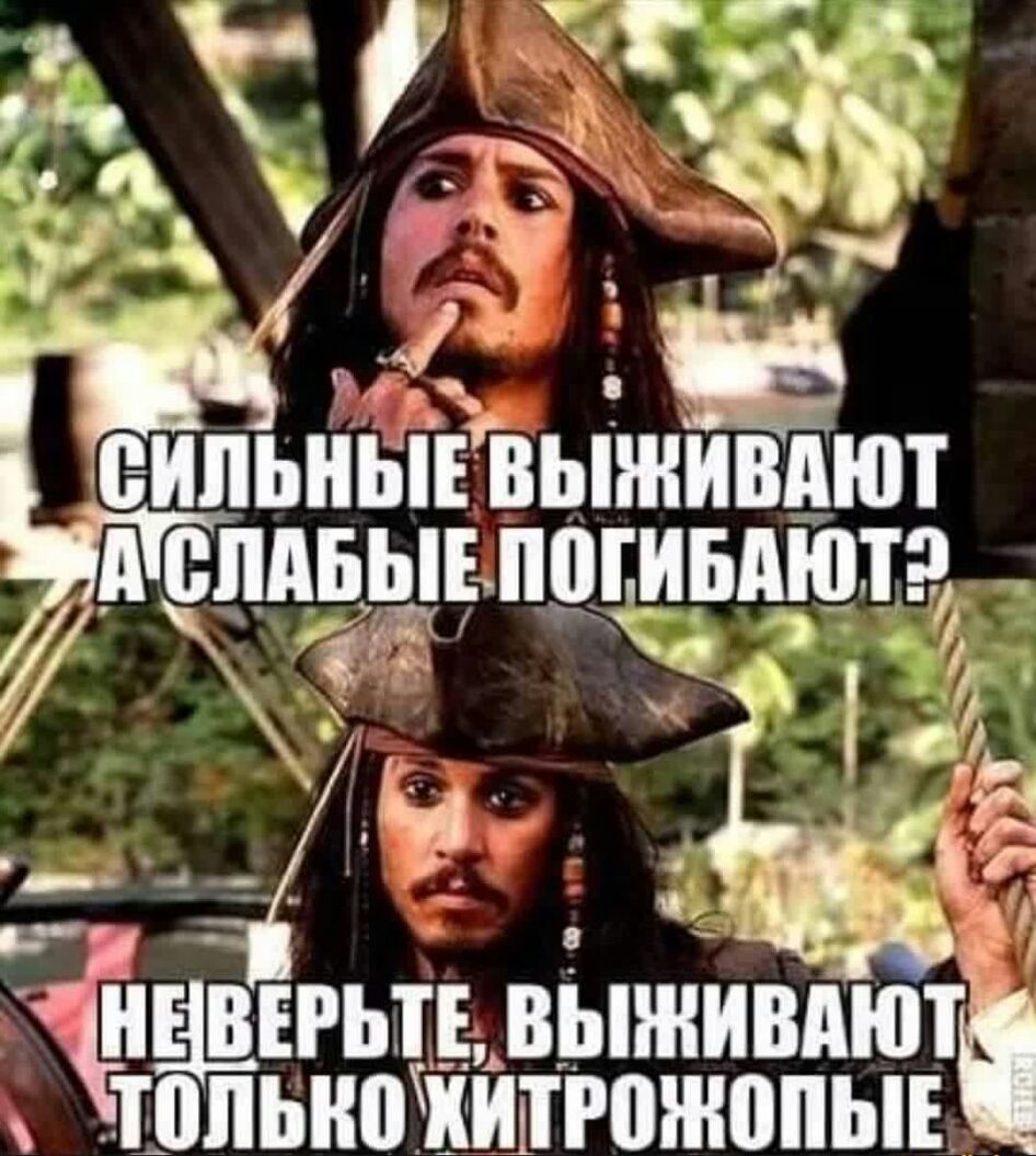 жм японціэ _ ЦЕРЬП ВЫЖИВПЮТ ТППЬНФИШТРПЖВПЫЕ