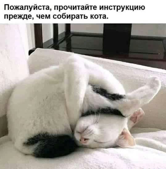 Пожалуйста прочитайте инструкцию прежде чем собирать кота