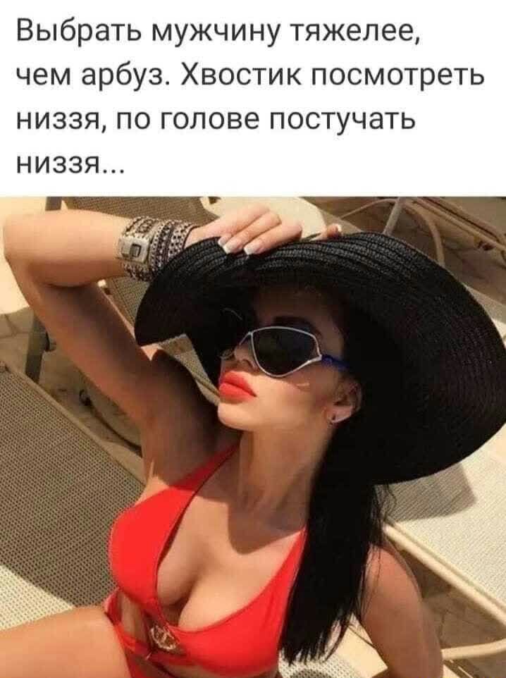 Выбрать мужчину тяжелее чем арбуз Хвостик посмотреть низзя по голове постучать НИЗЗЯ