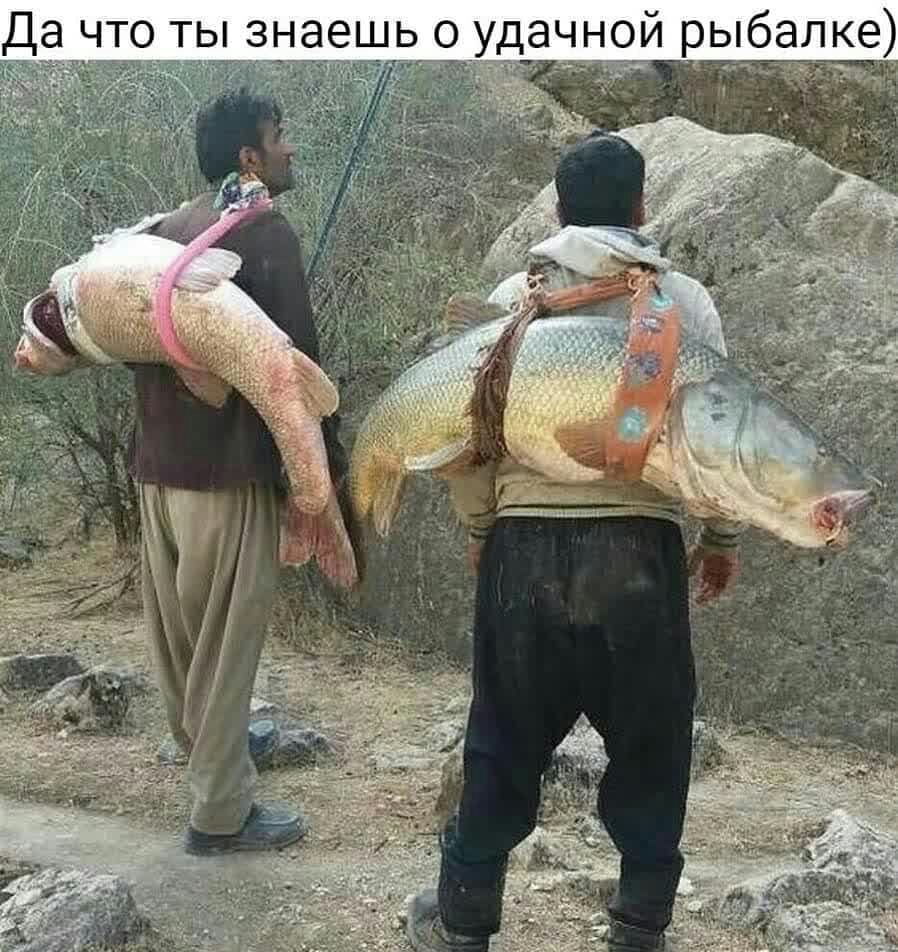 г Д что ты знаешь 3 о уд_аной рыбалке у