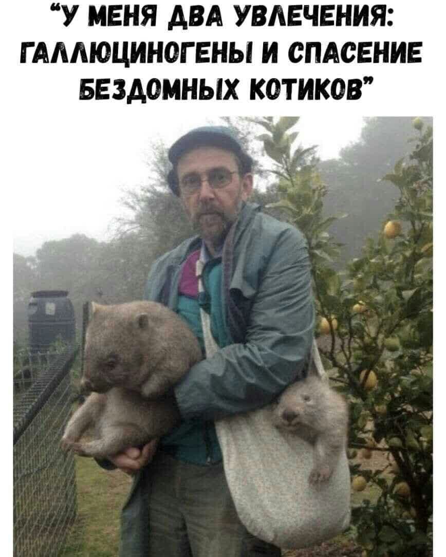 У МЕНЯ АВА УВАЕЧЕНИЯ Г АААЮЦИНОГ ЕНЫ И СПАСЕНИЕ БЕЗАОМНЫХ КОТИКОВ