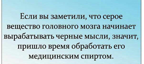 Если вы заметили что серое вещество головного мозга начинает вырабатывать черные мысли значит пришло время обработать его медицинским спиртом