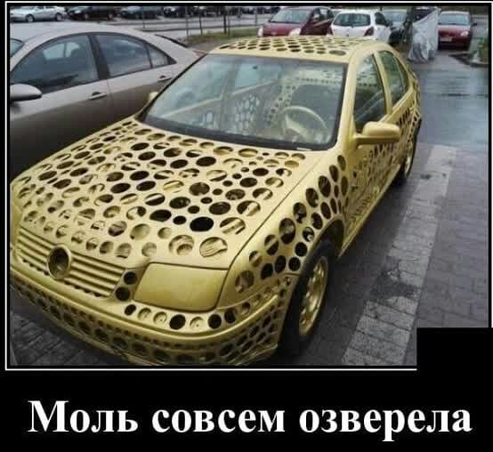 МОЛЬ СОВСВМ озверела