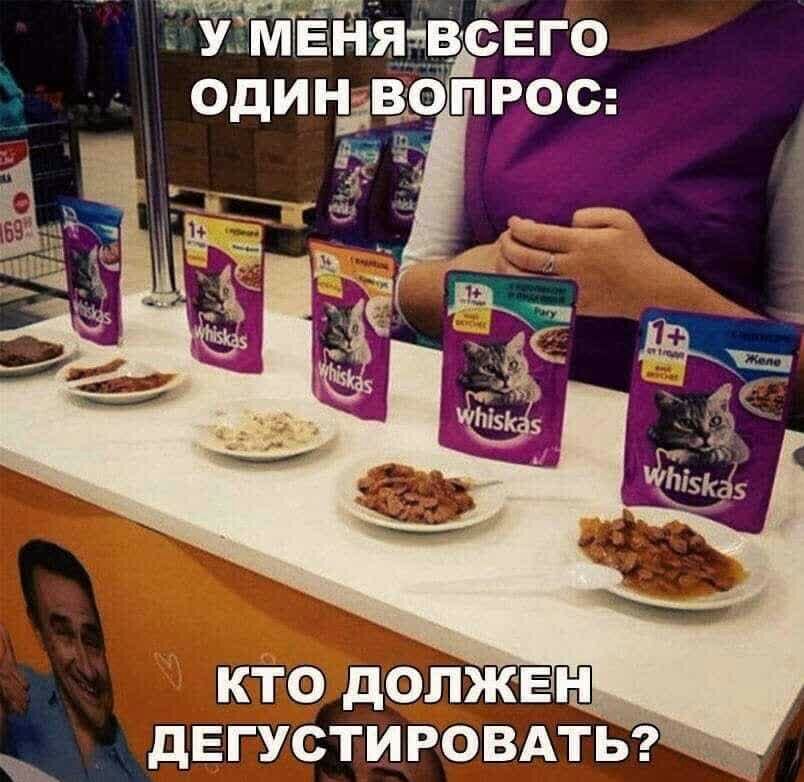 кто дОЛЖЕН дЕгустировдтьэ