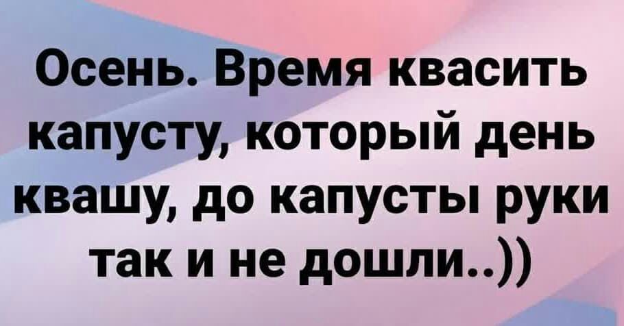 Осень Время квасить капусту который день квашу до капусты руки так и не дошли