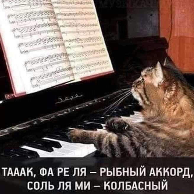 тдмк ФА РЕ ля рывный Аккорд соль ля ми нолвАсный