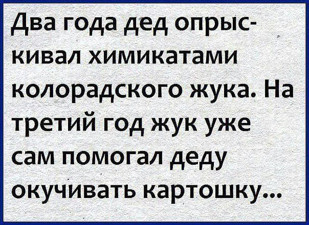 Два года дед опрыс кивал химикатами колорадского жука На третий год жук уже сам помогал деду окучИвать картошку