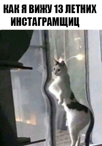 Ш И ВИНШ 13 ЛЕТНИХ ИНБТМРАМЩИЦ