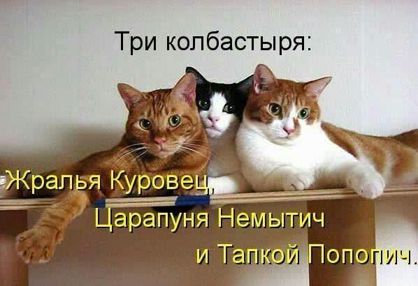 Три копбасты ря и Тапгі Попо
