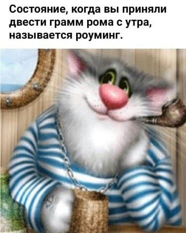 Состояние КФГДЗ ВЫ ПРИНЯЛИ двести ГРЗММ рома С УТРЗ называется РОУМИНГ
