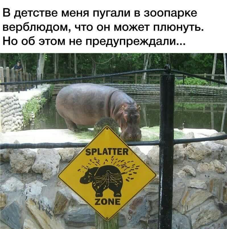 В детстве меня пугали в зоопарке верблюдом что он может плюнуть Но об этом не предупреждали